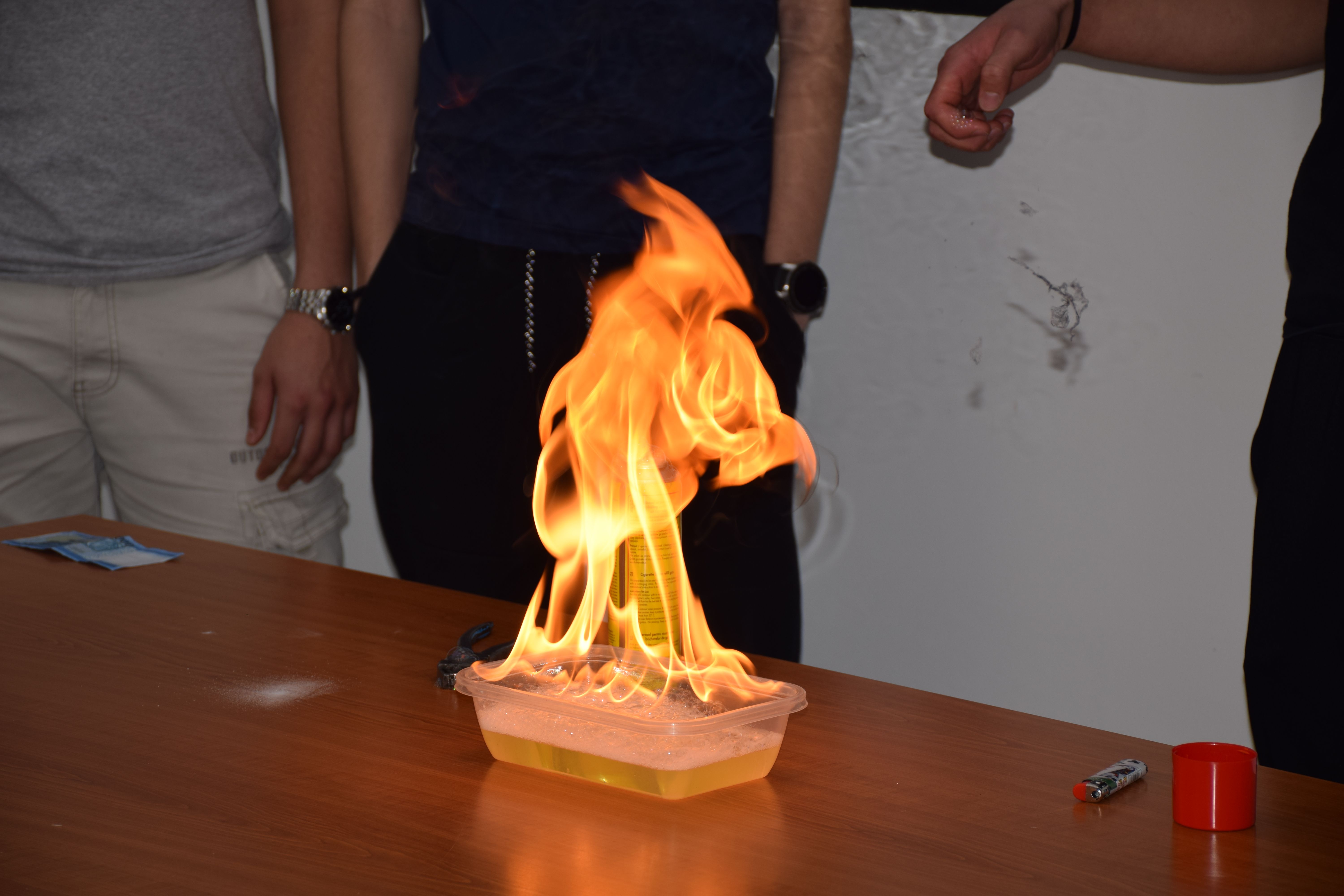 DSC_0192.JPG